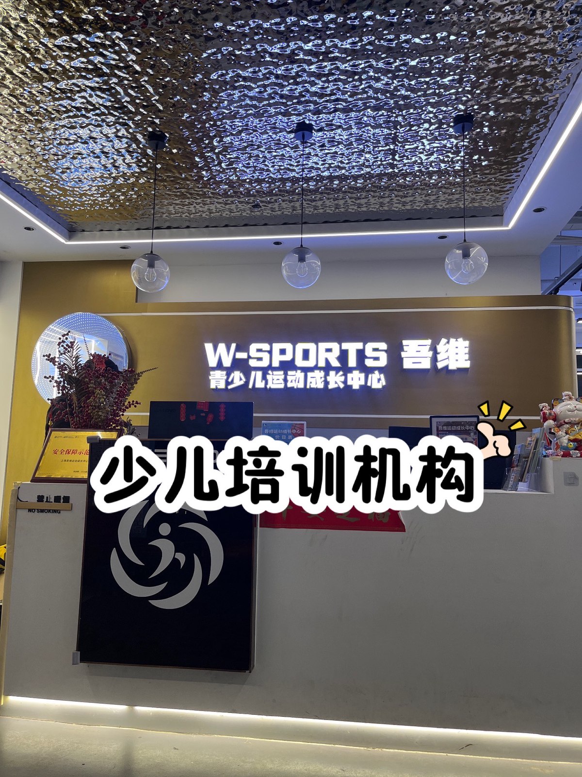 如何利用科技提升团队篮球训练效果
